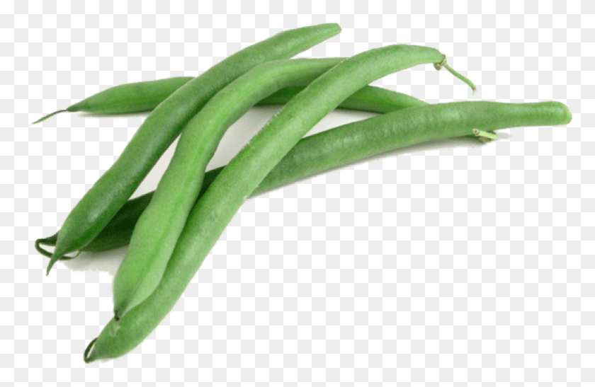 783x489 Free Green Beans Images Background Green Beans, Plant, Vegetable, Food HD PNG Download