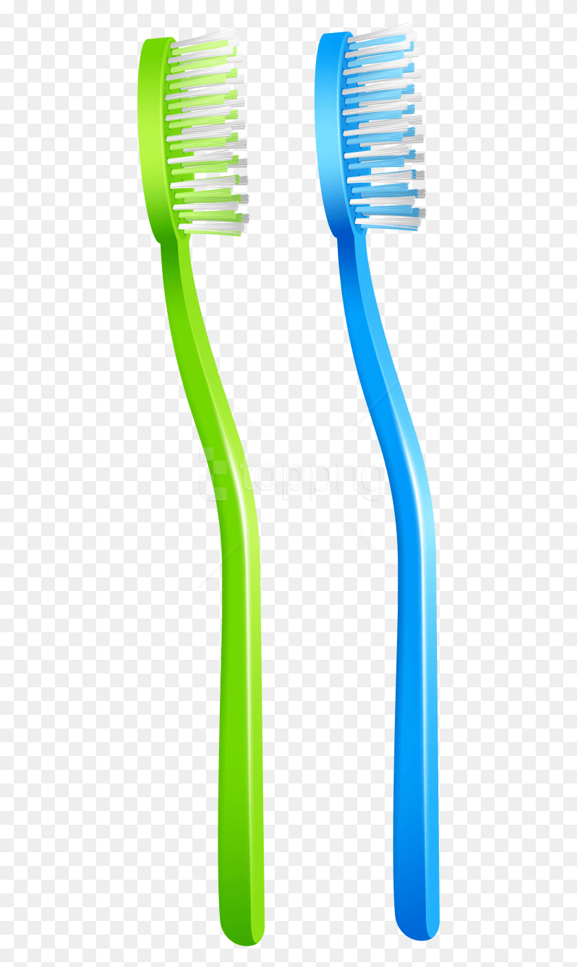 443x1347 Free Green Blue Toothbrush Clipart Blue And Green Toothbrush, Plant, Brush, Tool HD PNG Download