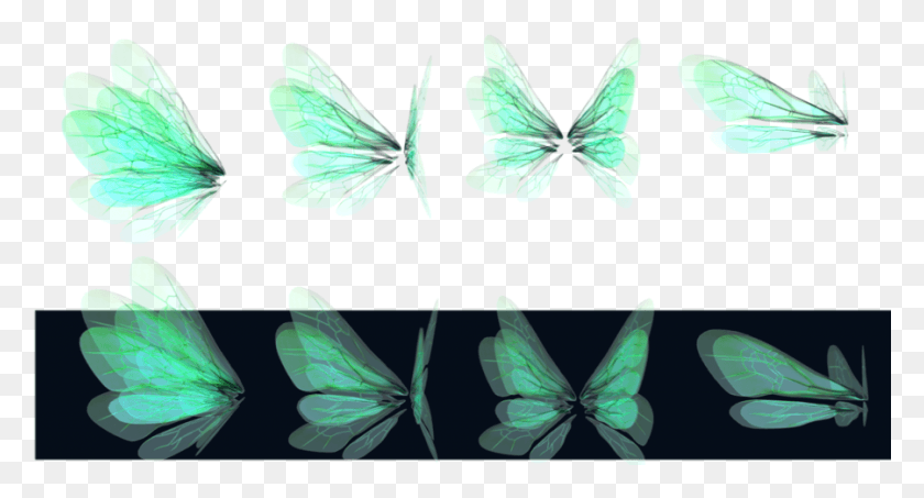 900x454 Free Green Fairy Wings Images Background Realistic Fairy Wings, Insect, Invertebrate, Animal HD PNG Download