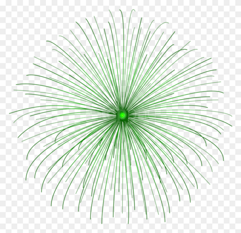 843x814 Free Green Firework Circle Images Transparent Purple Firework, Nature, Outdoors, Plant HD PNG Download