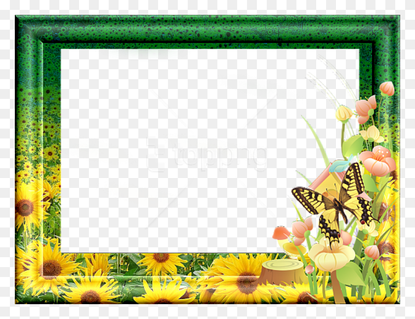 850x638 Free Green Transparent Frame With Sunflowers Background Sunflower Borders And Frames, Plant, Flower, Blossom HD PNG Download