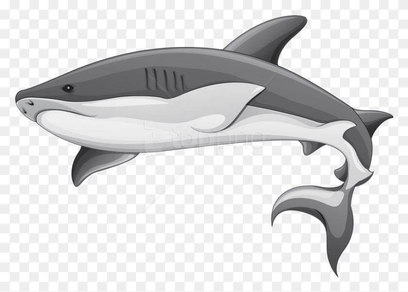 839x582 Free Grey Shark Images Transparent Shark Clipart, Sea Life, Animal, Fish HD PNG Download