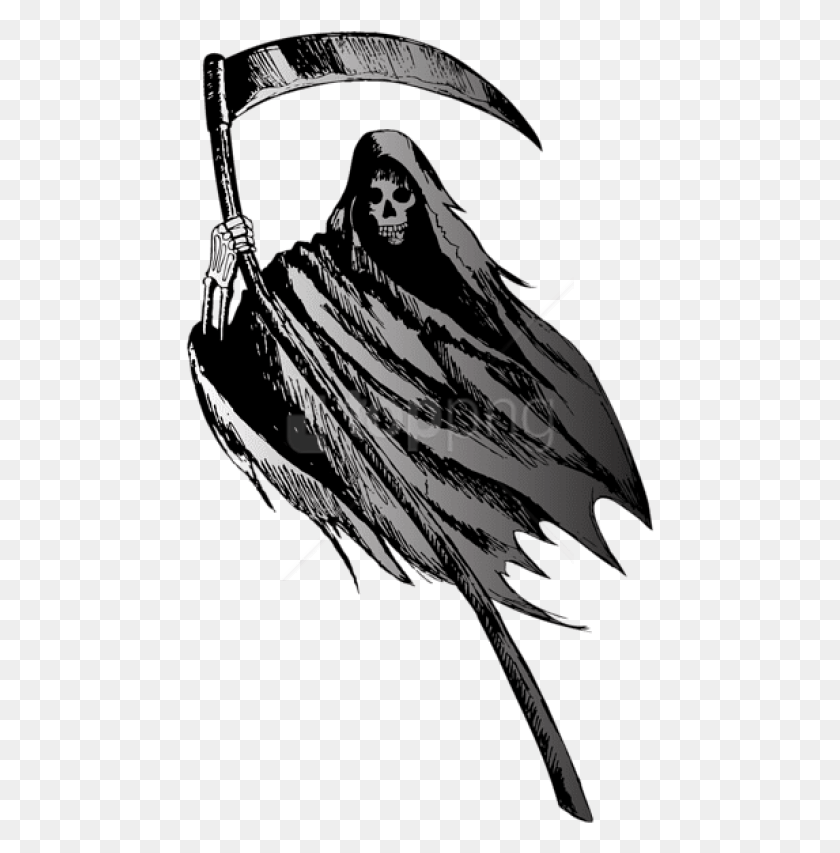 469x793 Descargar Png Grim Reaper Imágenes De Fondo Grim Reaper Sin Fondo, Pájaro, Animal, Garra Hd Png