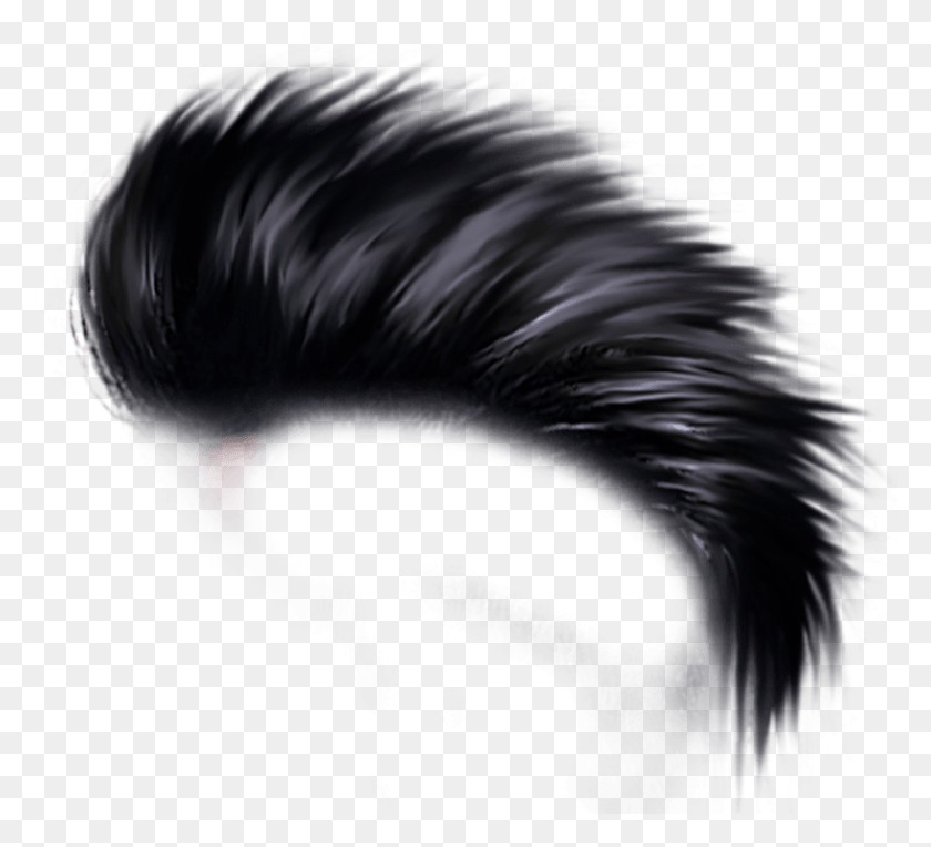 816x737 Free Hair Hair Style, Bird, Animal, Person HD PNG Download