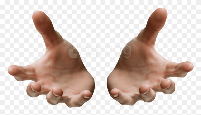 800x434 Free Hand By Digitalwid Images Hands, Heel, Person, Human HD PNG Download