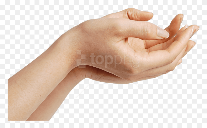 814x480 Free Hands Images Background Images Hand, Person, Human, Wrist HD PNG Download