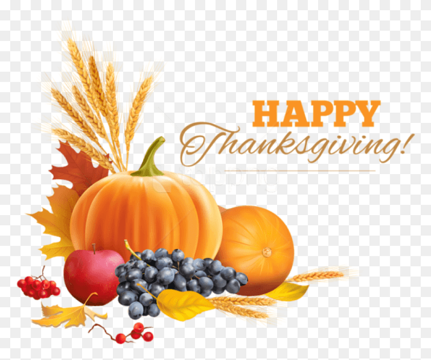 842x695 Free Happy Thanksgiving Decor Images Happy Thanksgiving, Plant, Pumpkin, Vegetable HD PNG Download