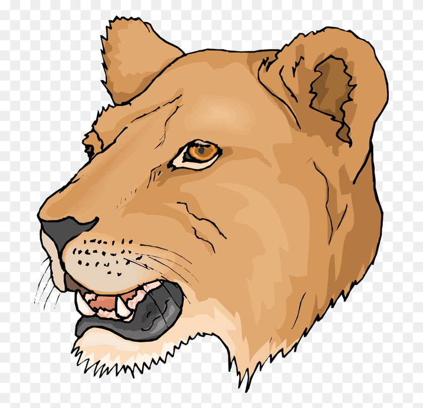 704x750 Free Head Lioness Clipart Female Lion Head Clipart, Mammal, Animal, Bird HD PNG Download