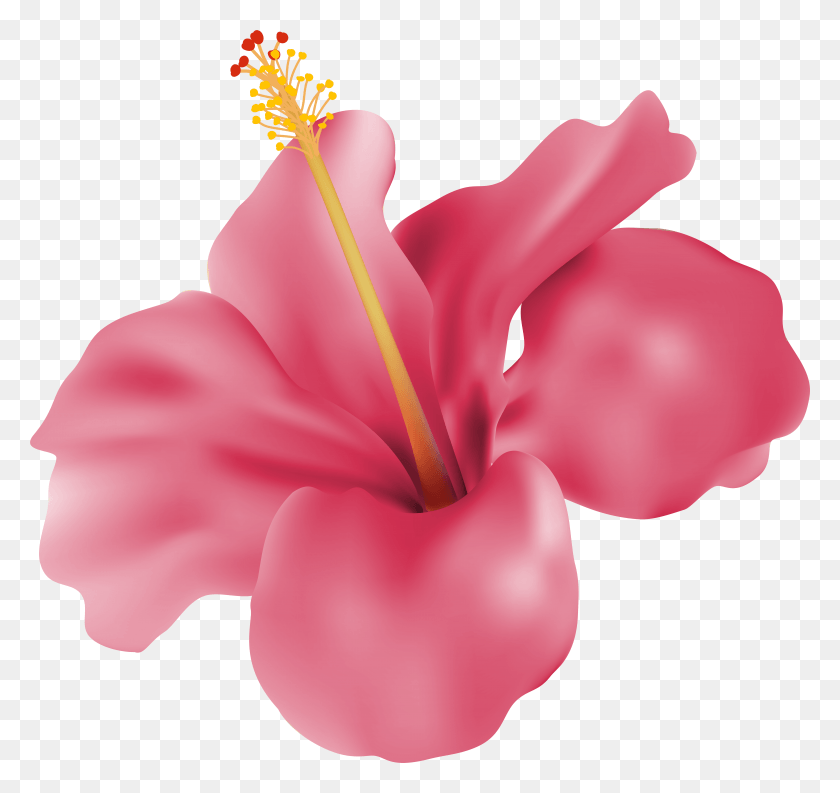 7833x7368 Бесплатные Прозрачные Изображения Розового Гибискуса Портативная Сетевая Графика, Растение, Цветок, Цветение Png Скачать