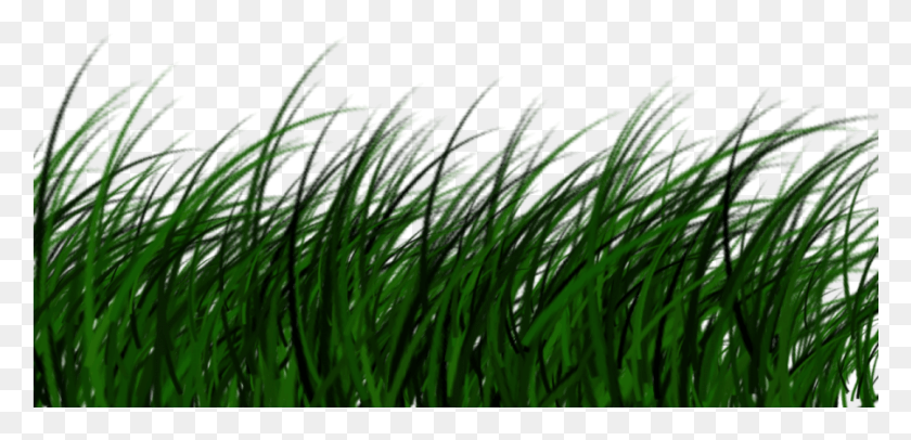 901x400 Free High Quality Grass Transparent Image, Plant, Green, Nature HD PNG Download