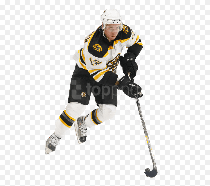 481x682 Free Hockey Player Images Transparent College Ice Hockey, Helmet, Clothing, Apparel HD PNG Download