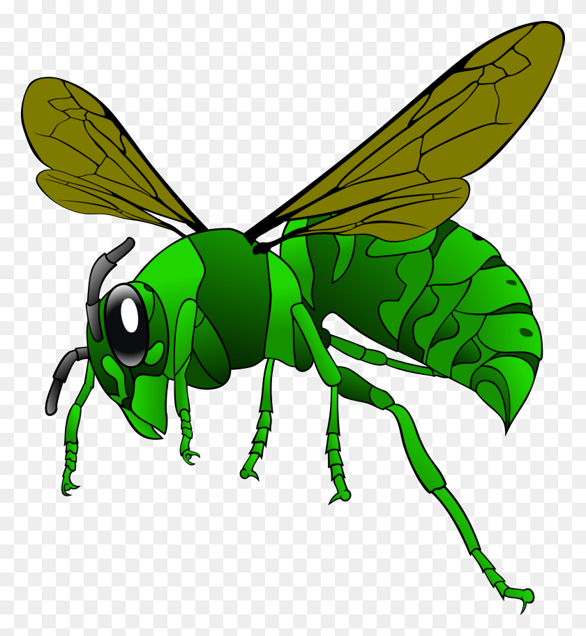 2199x2400 Free Honey Bee Transparent Honey Bee Green Hornet, Insect, Invertebrate, Animal HD PNG Download