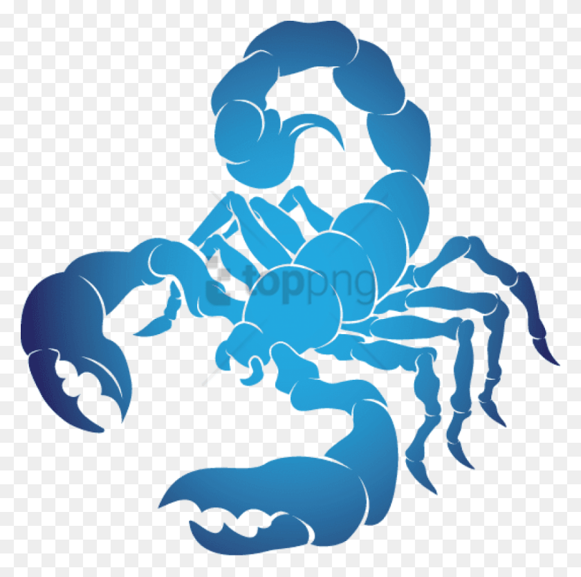 850x844 Free Horoscope Scorpio Sign Image With Transparent Scorpio Horoscope, Animal, Sea Life, Seafood HD PNG Download