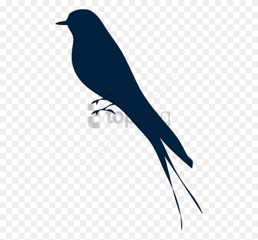 480x724 Free How To Set Use Bird Silhouette Svg Mocking Bird Clip Art, Seafood, Food, Animal Hd Png Скачать