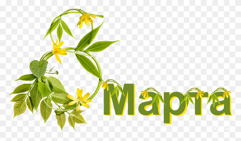 1200x664 Free Icons 8 Marta Klipart, Plant, Green, Graphics HD PNG Download