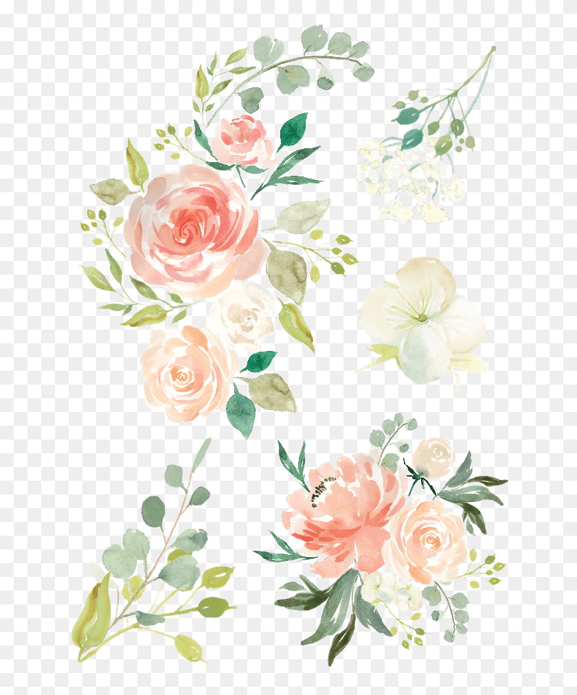 640x952 Free Icons Hand Drawn Flower, Plant, Blossom, Rose HD PNG Download