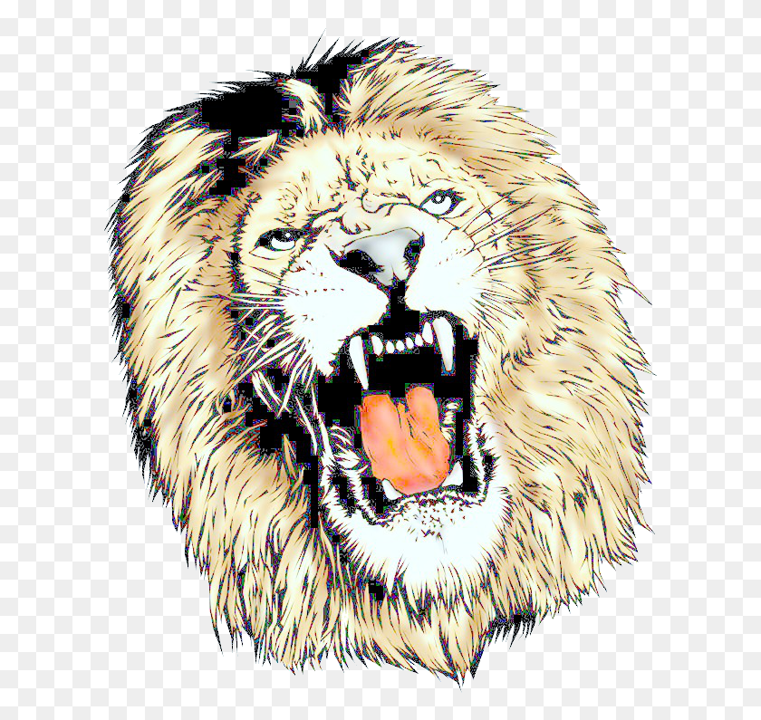 611x735 Free Icons Lion, Wildlife, Animal, Mammal HD PNG Download