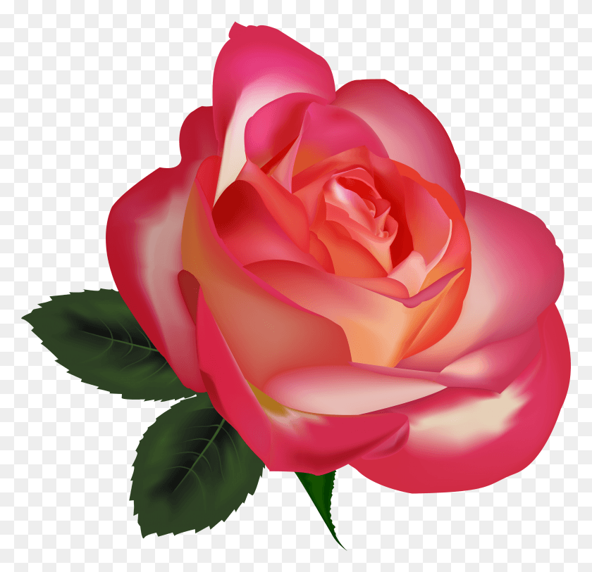 3878x3747 Бесплатные Иконки Реалистичные Картинки Цветы, Роза, Цветок, Растение Hd Png Скачать