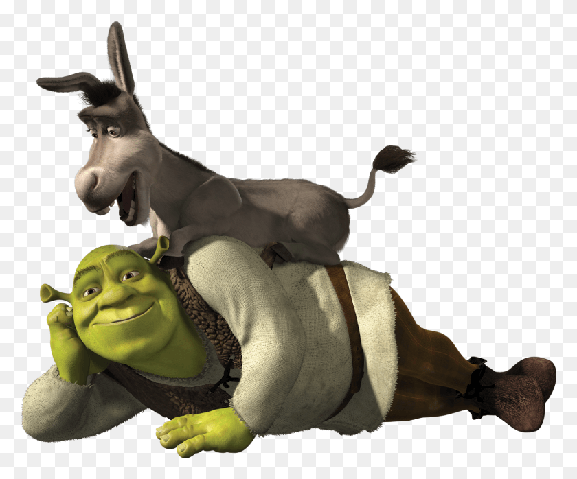 1531x1253 Free Icons Shrek And Donkey, Mammal, Animal, Person HD PNG Download
