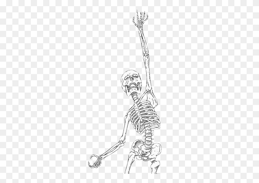 272x533 Бесплатные Иконки Скелет Эстетика, Человек, Человек Hd Png Скачать