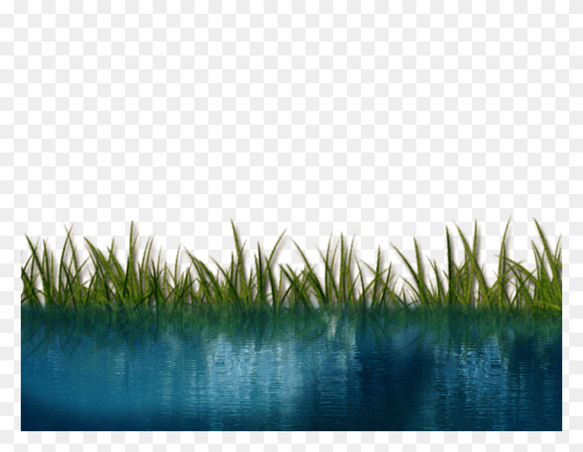 900x684 Free Icons Water In Nature, Grass, Plant, Outdoors HD PNG Download