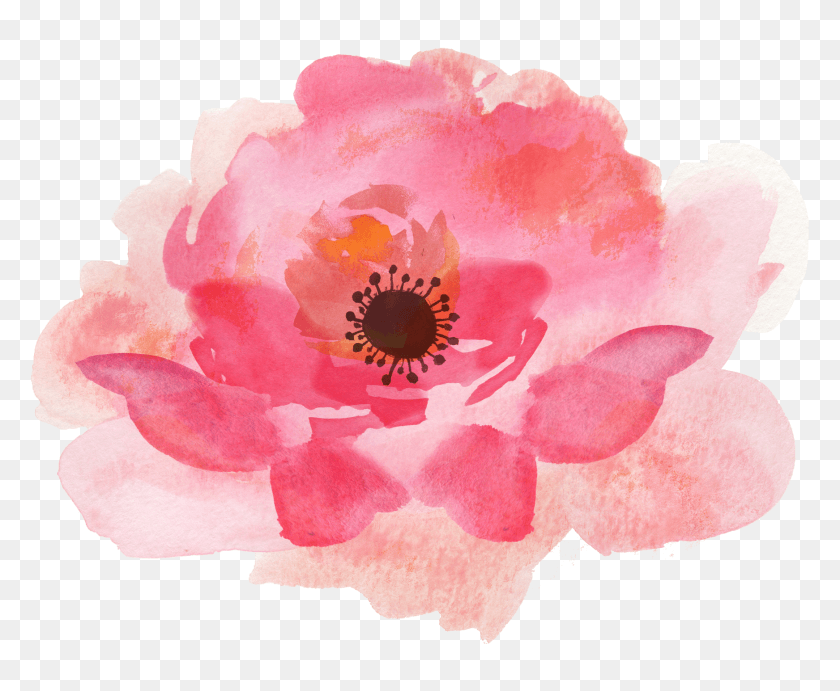 1743x1412 Бесплатные Иконки Акварельные Цветочные Элементы, Растение, Роза, Цветок Hd Png Скачать