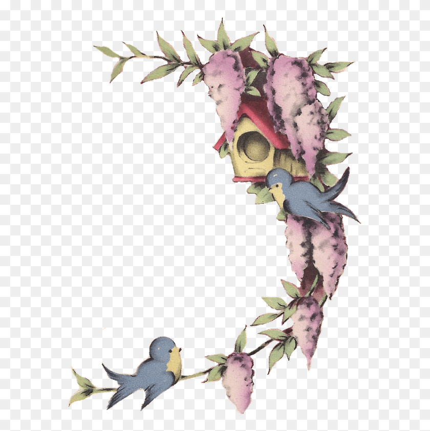 579x782 Free Image Little Blue Birds And Wisteria Frame Portable Network Graphics, Plant, Bird, Animal HD PNG Download