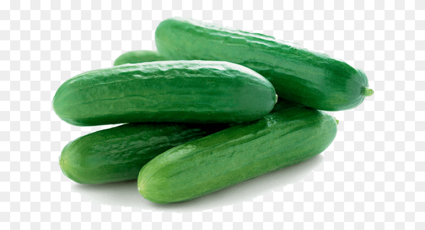 640x396 Free Images Baby Cucumbers, Plant, Cucumber, Vegetable HD PNG Download
