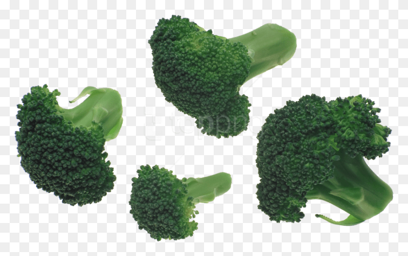 850x510 Free Images Broccoli, Vegetable, Plant, Food HD PNG Download