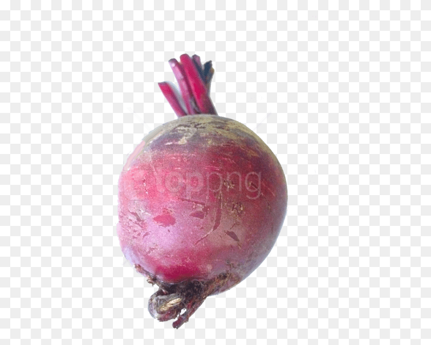 393x612 Free Images Common Beet, Turnip, Produce, Vegetable HD PNG Download