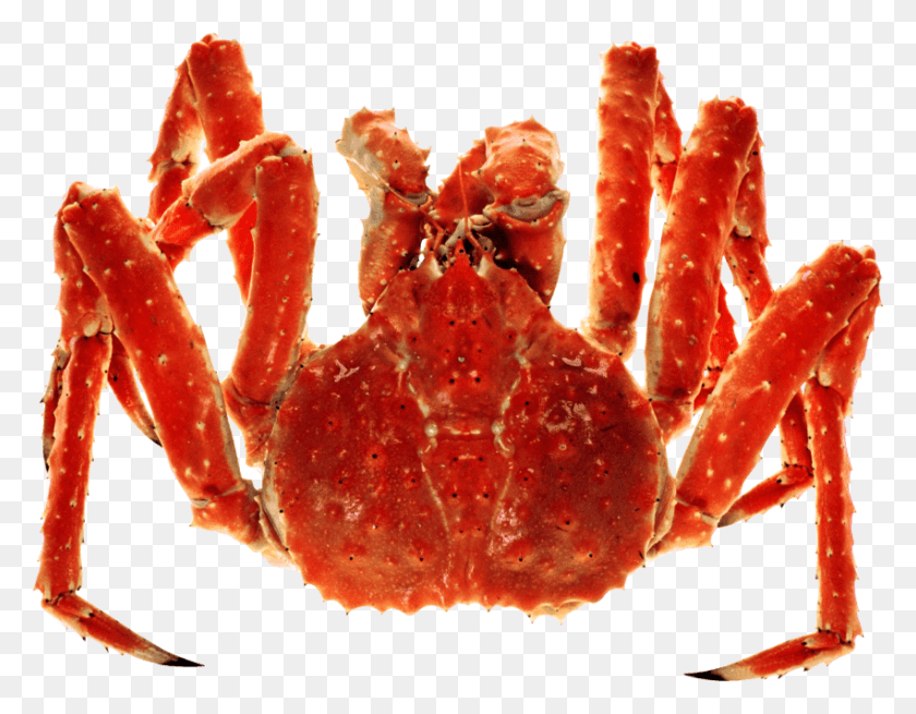 850x649 Free Images Crab, Seafood, Sea Life, Food HD PNG Download