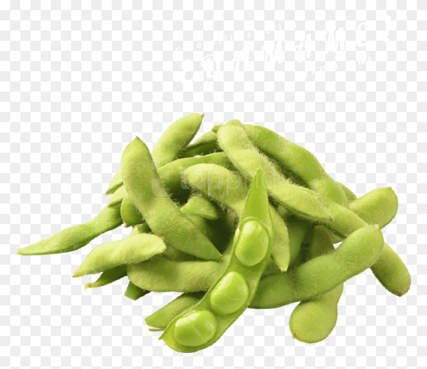 850x725 Free Images Edamame, Plant, Vegetable, Food HD PNG Download