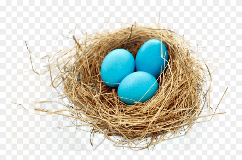 836x532 Free Images Nest, Bird Nest, Fungus HD PNG Download