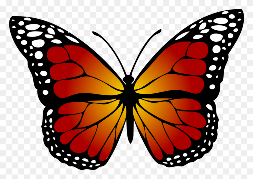 1000x687 Free Images On Pixabay Mariposa Monarca Clipart, Ornamento, Patrón, Gráficos Hd Png Descargar