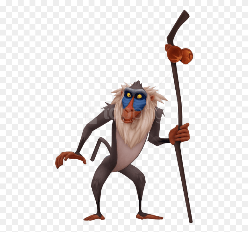 473x724 Free Images Toppng Transparent Transparent Background Kingdom Hearts Rafiki, Animal, Wildlife, Person HD PNG Download
