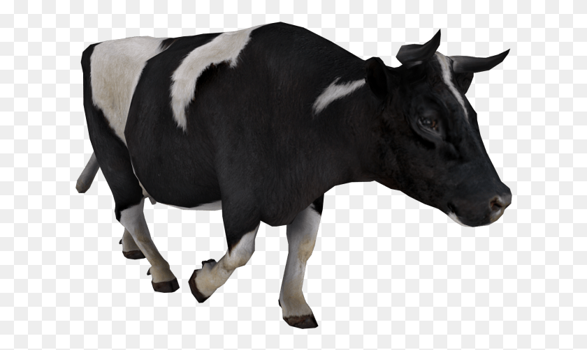 626x442 Free Images Vache, Cow, Cattle, Mammal HD PNG Download
