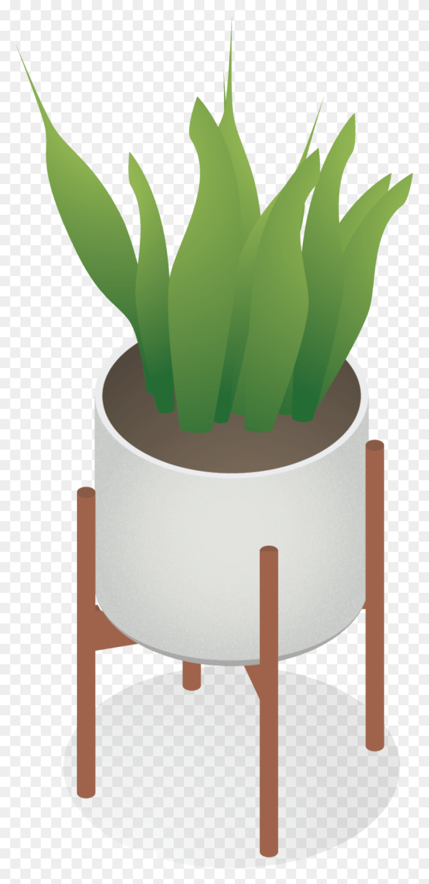 877x1878 Free Isometric Interior Plants For Architecture Indoor Plants Isometric, Plant, Appliance, Pot HD PNG Download