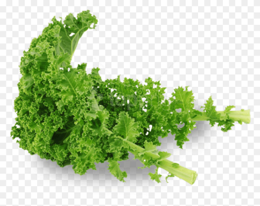 817x633 Free Kale Images Transparent Kale, Cabbage, Vegetable, Plant HD PNG Download