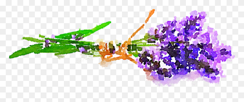 948x357 Бесплатное Использование Цветов Кавендеры Дибухо Де Рамо Де Виолетас, Растение, Графика Hd Png Скачать