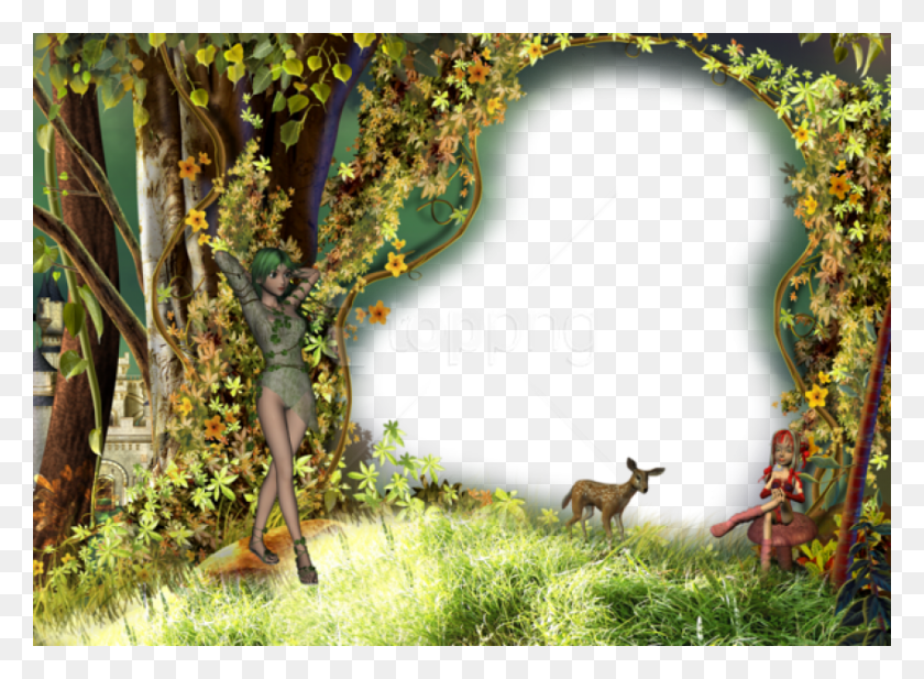 850x608 Free Kids Wild Transparent Photo Frame Background Прозрачные Рамки С Дикой Природой, Человек, Человек, Растение, Hd Png Download