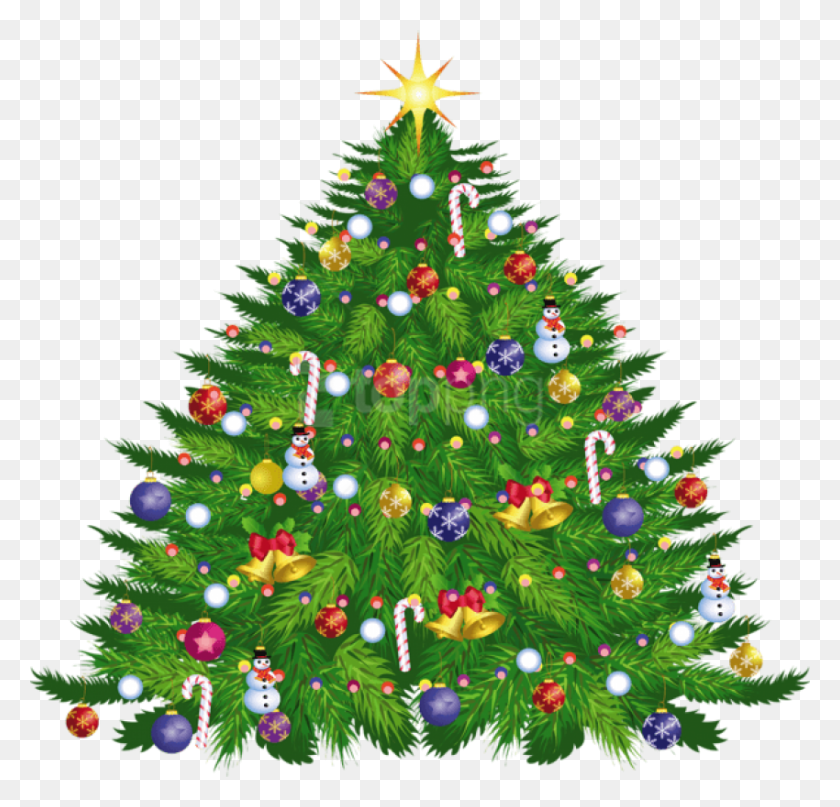 850x815 Free Large Transparent Christmas Deco Tree Cartoon Christmas Tree On Black Background, Ornament, Plant, Vegetation HD PNG Download