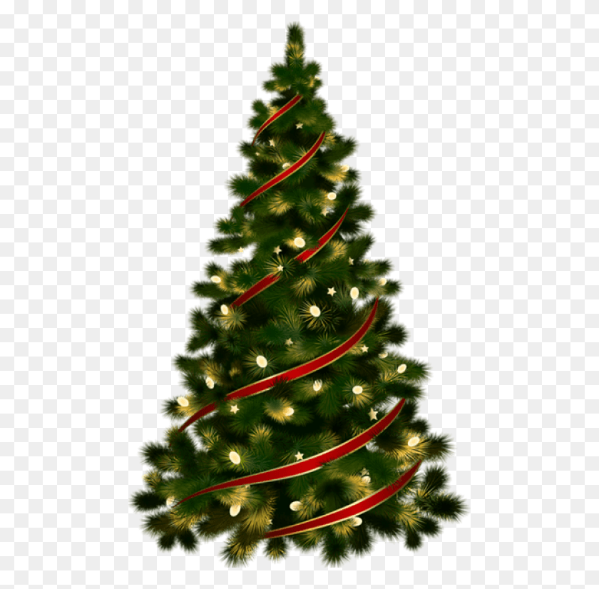480x766 Descargar Png Árbol De Navidad Transparente Grande Con Árbol De Navidad Rojo Sin Fondo, Árbol De Navidad, Ornamento, Planta Hd Png