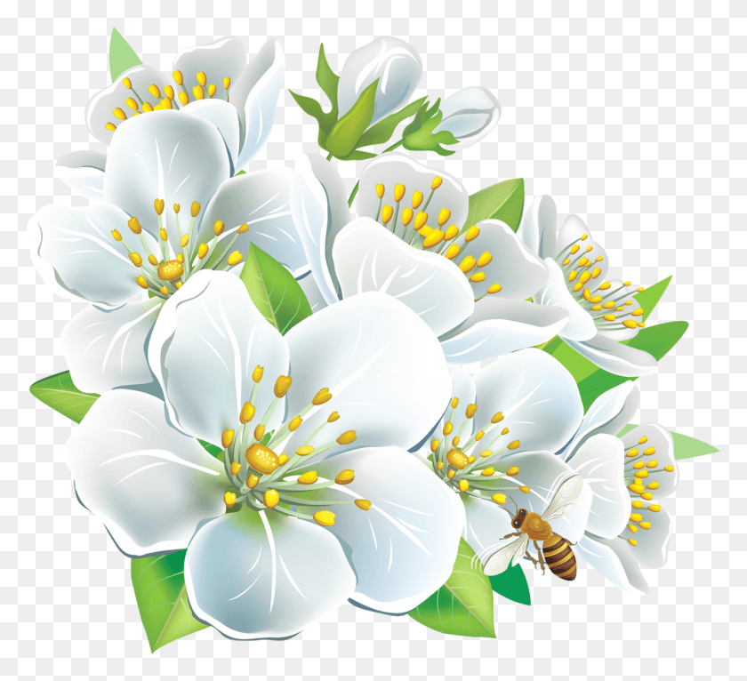 1250x1133 Free Large White Flowers Clipart Photo White Flowers Clip Art, Plant, Flower, Blossom HD PNG Download
