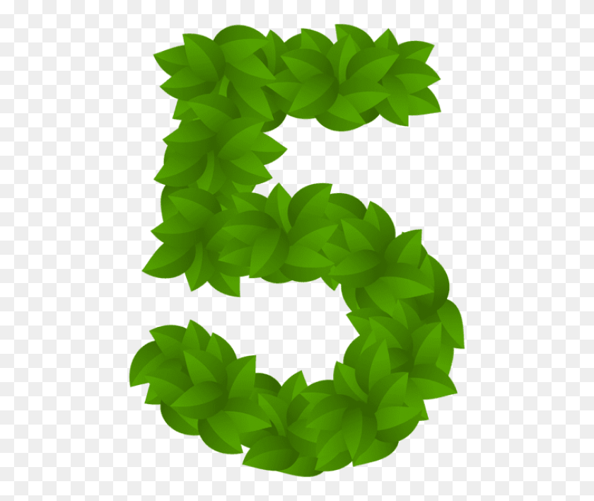 480x648 Free Leaf Number Five Green Clipart Green Leaves Numbers With Leaves, Graphics, Wreath HD PNG Download