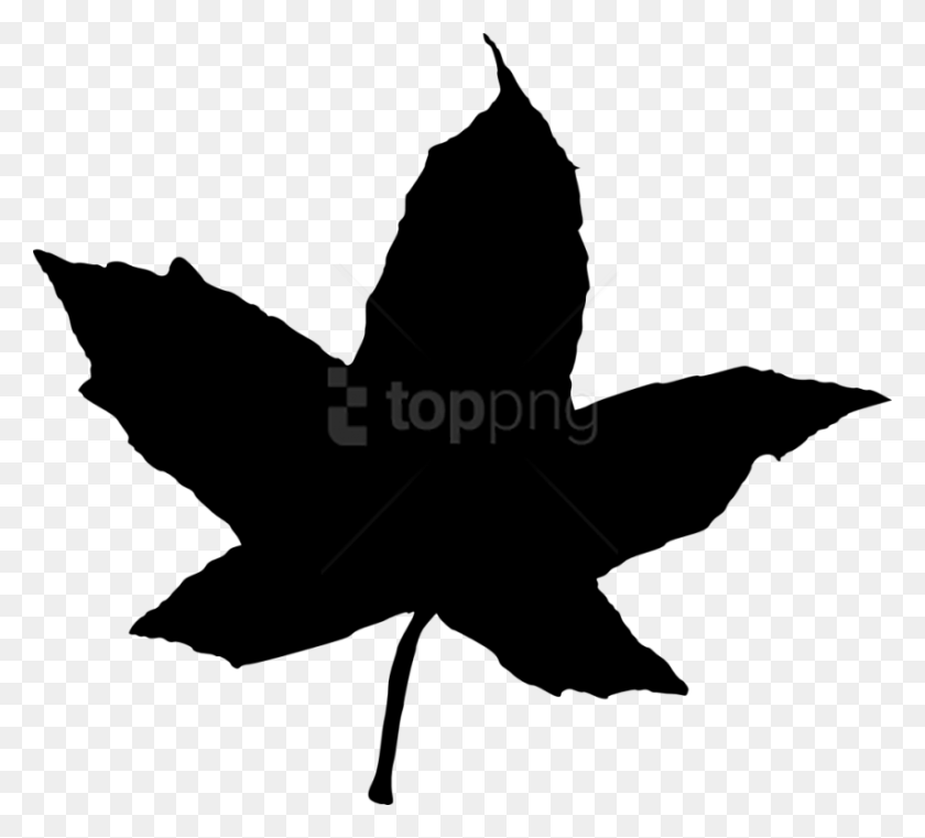 850x764 Free Leaf Silhouette Illustration, Person, Human HD PNG Download