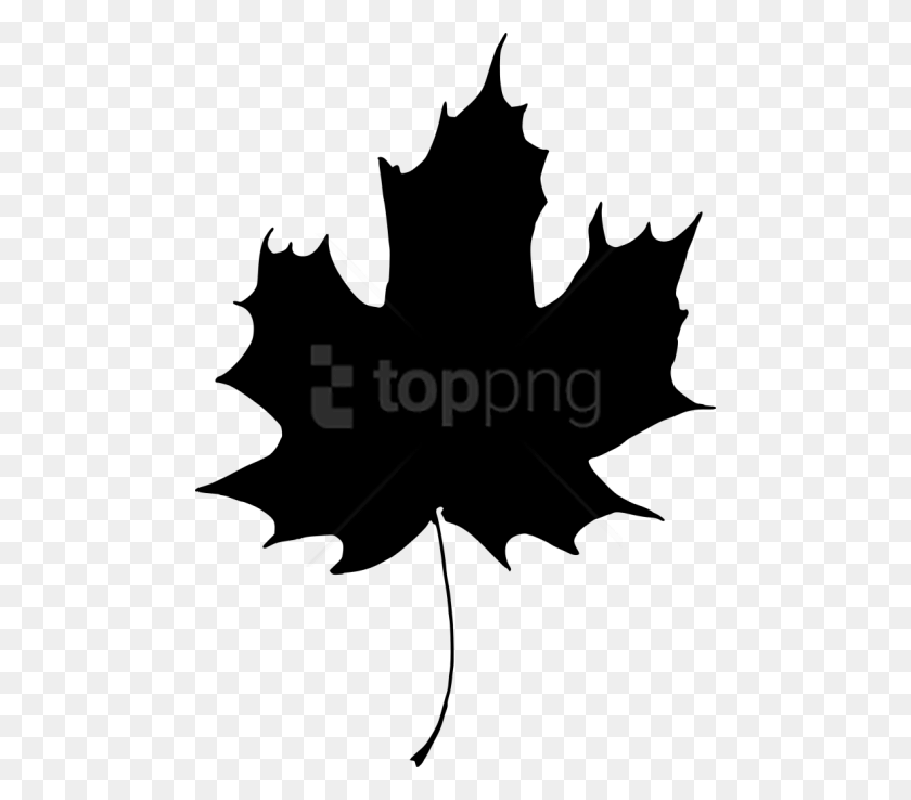480x678 Free Leaf Silhouette Silhouette Leaf Transparent Background, Plant, Maple Leaf, Tree HD PNG Download