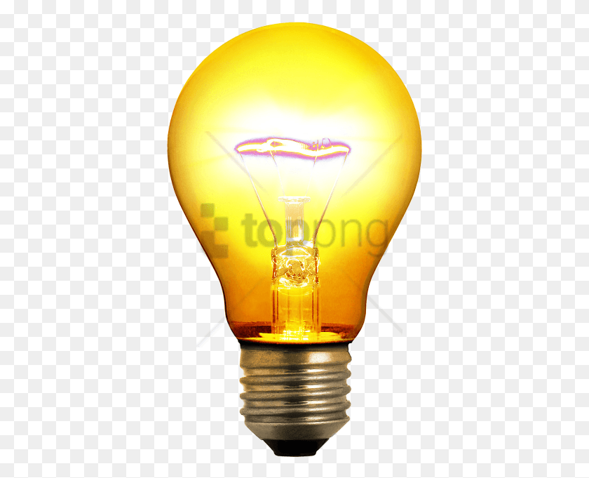 365x621 Free Light Bulb On Off Image With Transparent Light Bulb, Light, Lamp, Lightbulb HD PNG Download