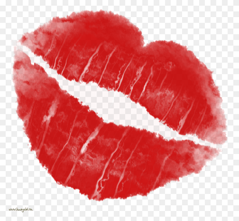 788x723 Free Lips Kiss Images Transparent Lipstick Kiss, Plant, Heart, Petal HD PNG Download