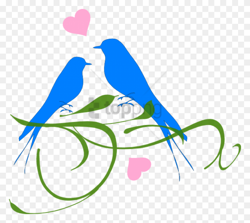 850x751 Descargar Imagen De Aves De Amor Con Fondo Transparente Boda De Aves De Amor, Jay, Ave, Animal Hd Png