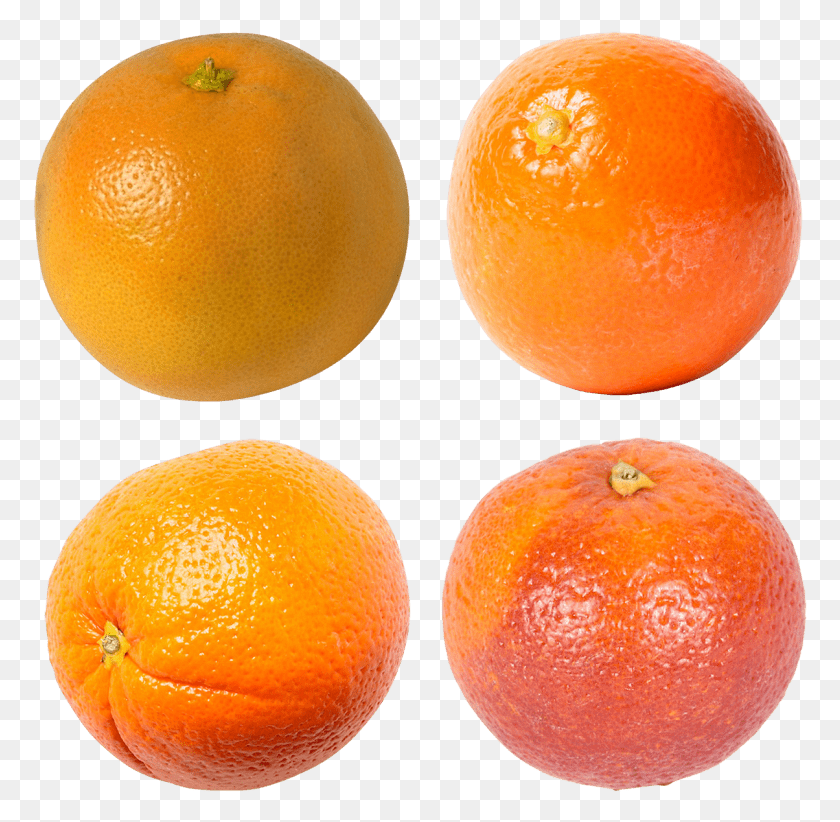 775x762 Free Mandarin Images Transparent Blood Orange, Citrus Fruit, Fruit, Plant HD PNG Download